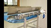 Sanitary Conveyors